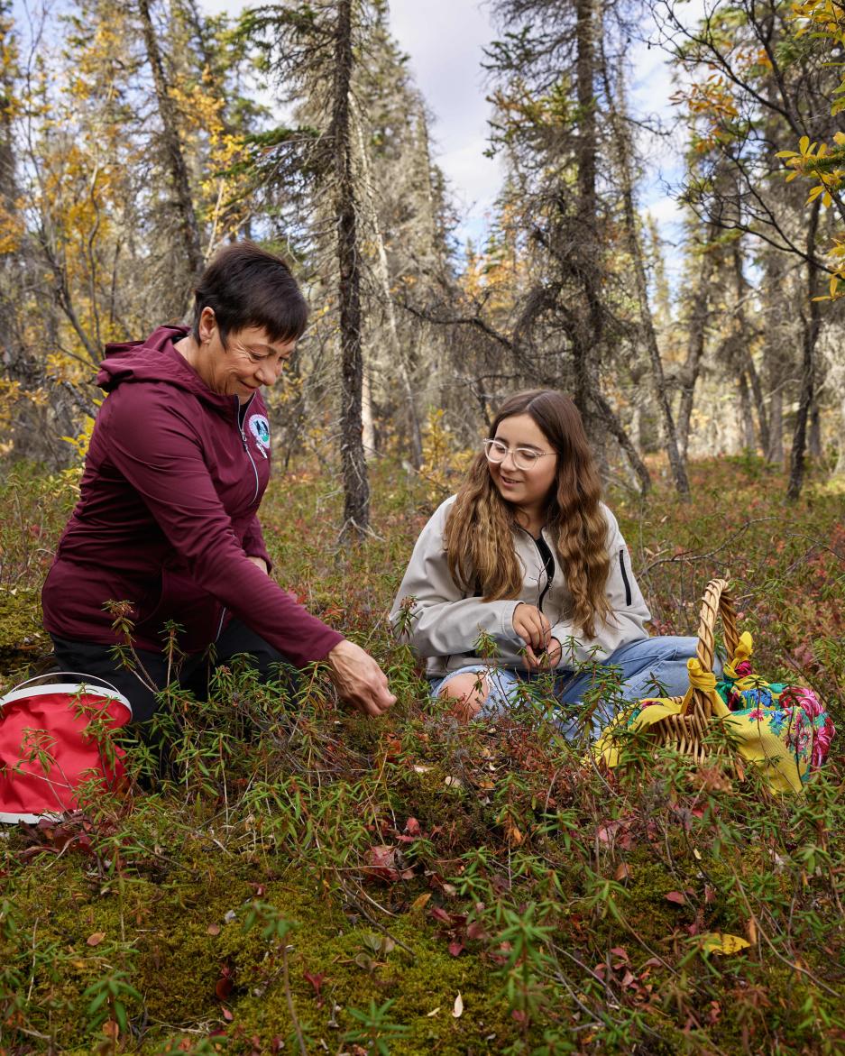 Kluane First Nation citizens berry picking on their traditional territory