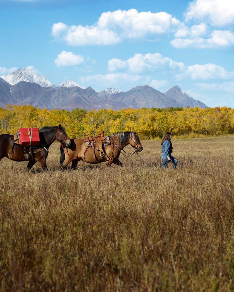 Kyra Chambers interacting with her horses near Haines Junction