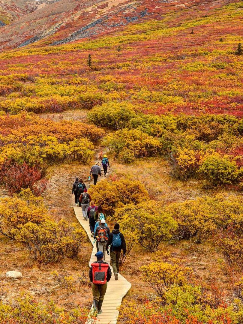hikers through fall foliage in tombstone territorial park