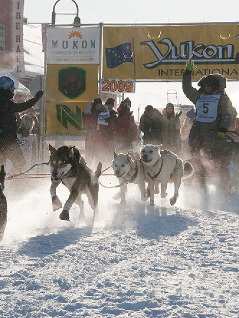 I-married-the-Klondike-Yukon-Quest.jpg