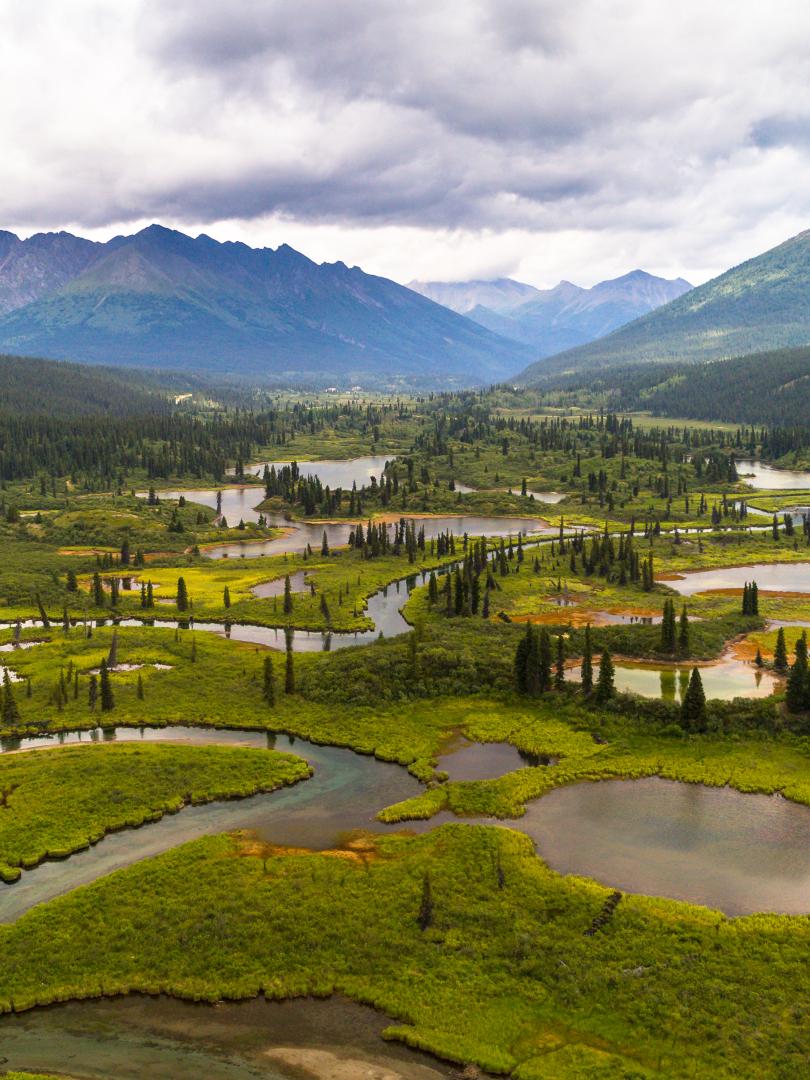 Teslin Tlingit Council