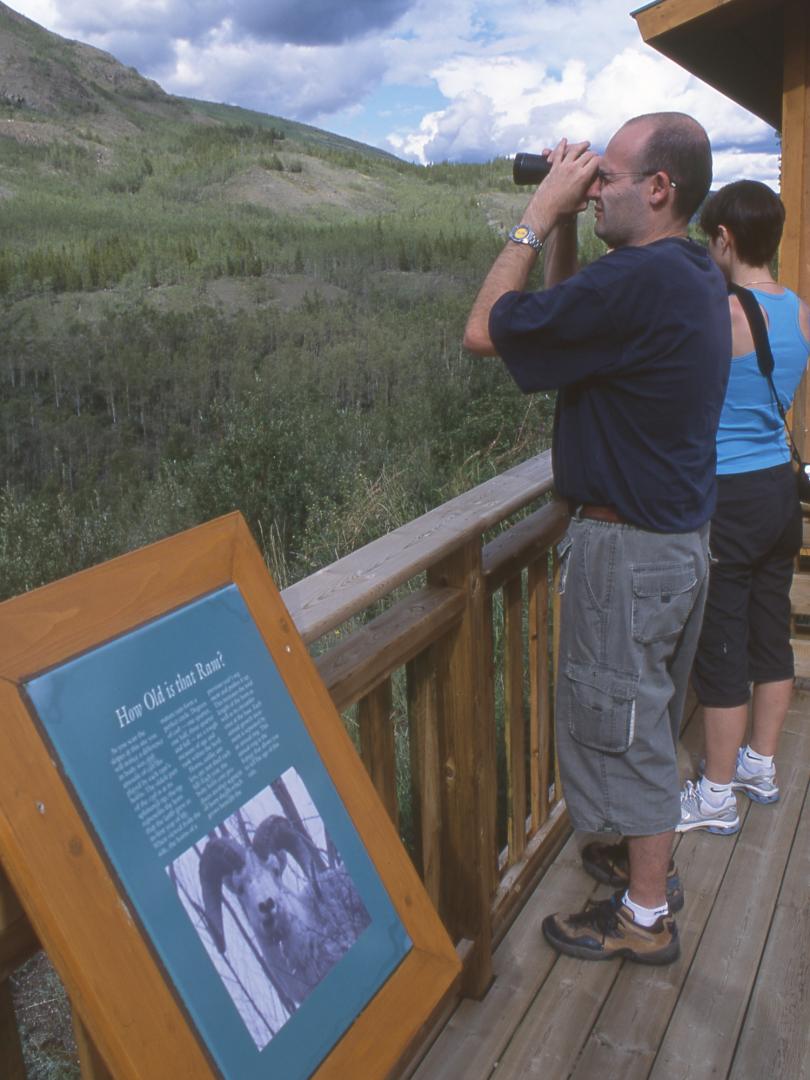 A man looking out in front of an interpretive sign