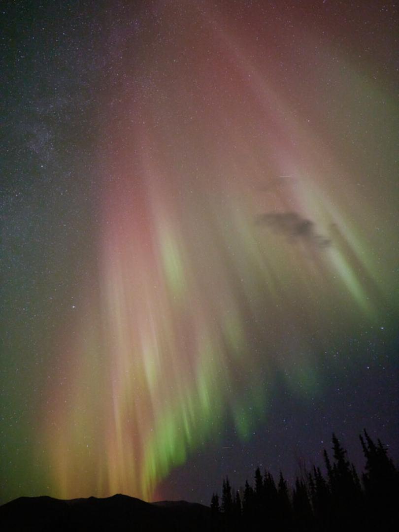 Red and green aurora rise over trees and mountains