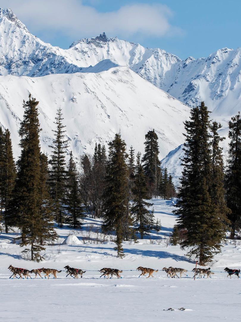 Dog sledding across a frozen lake