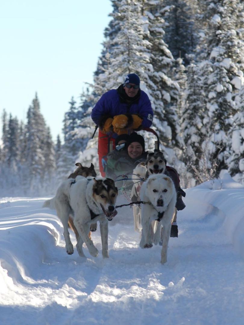 Yukon Dog Sledding