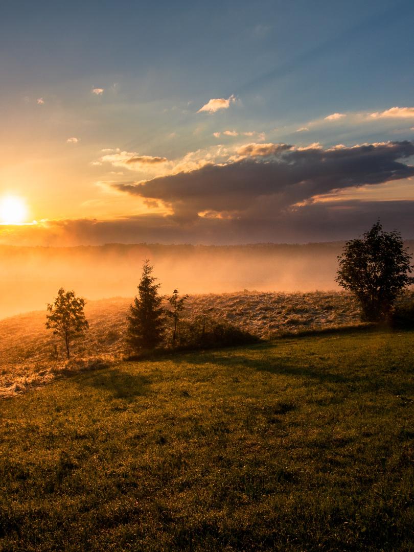 sunrise over a field