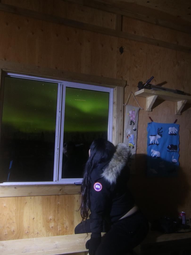 Watch aurora from the comfort of our rustic heated cabin