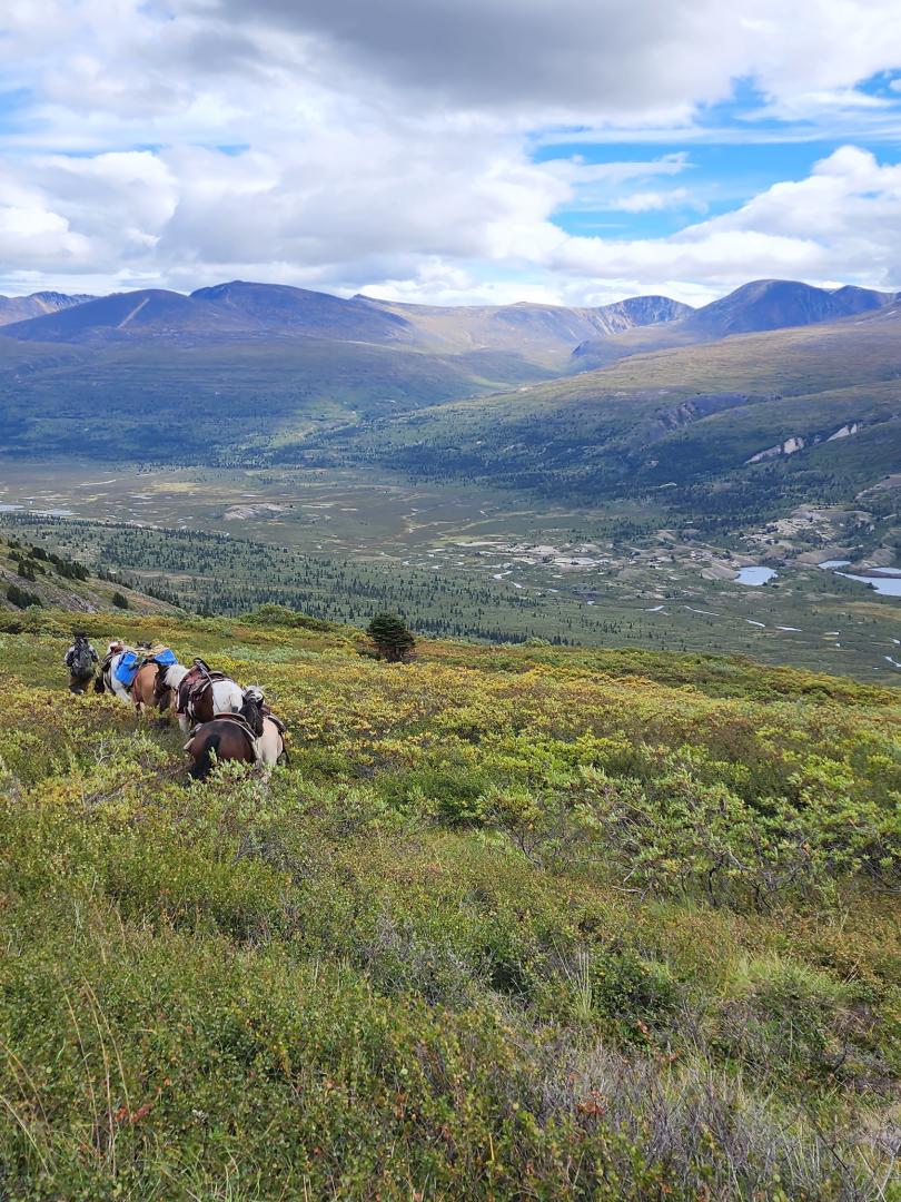 Yukon Horseback Hunt