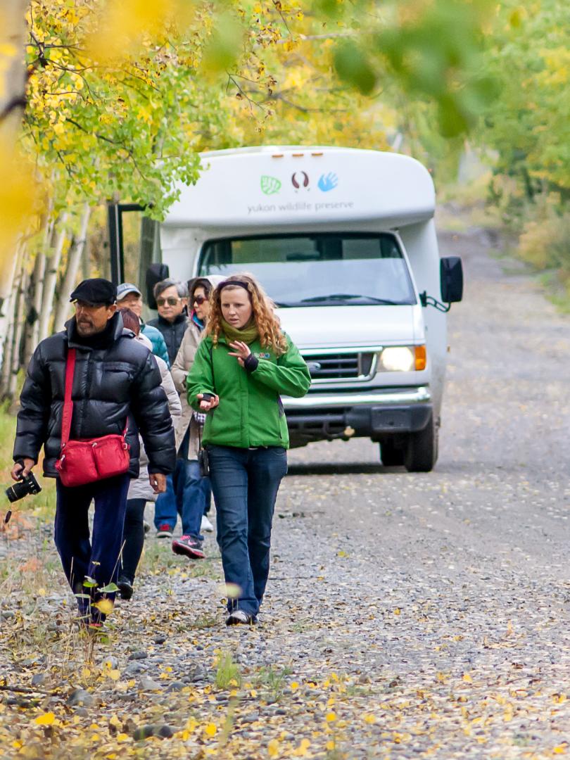 people walk a trail in fall with a bus in the background