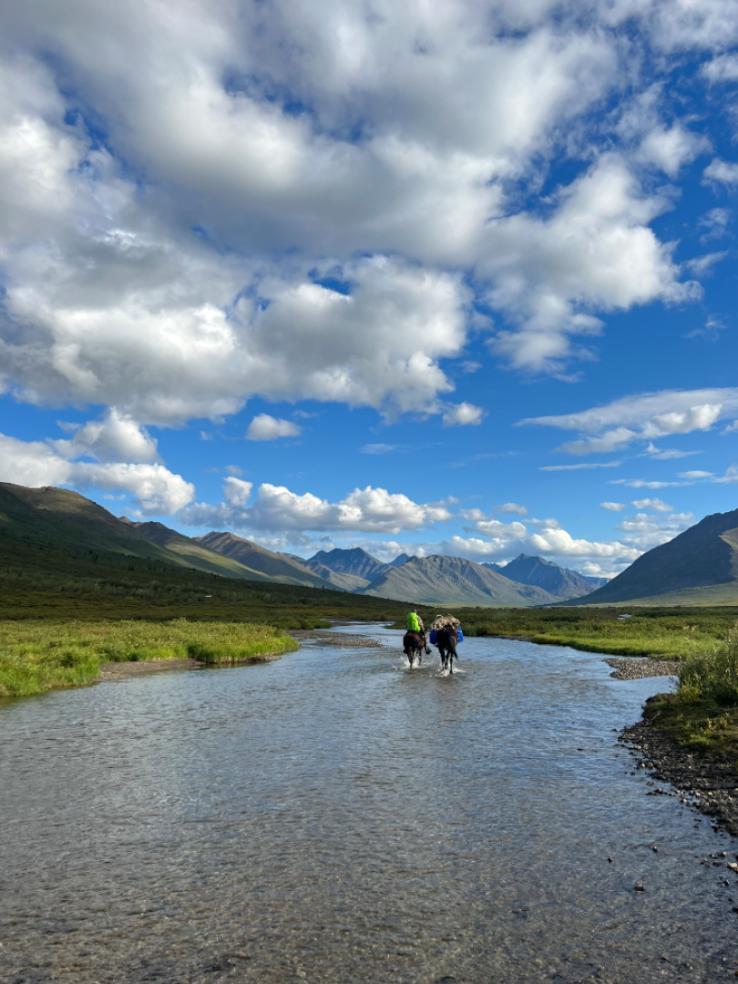 horses and explorers in a river