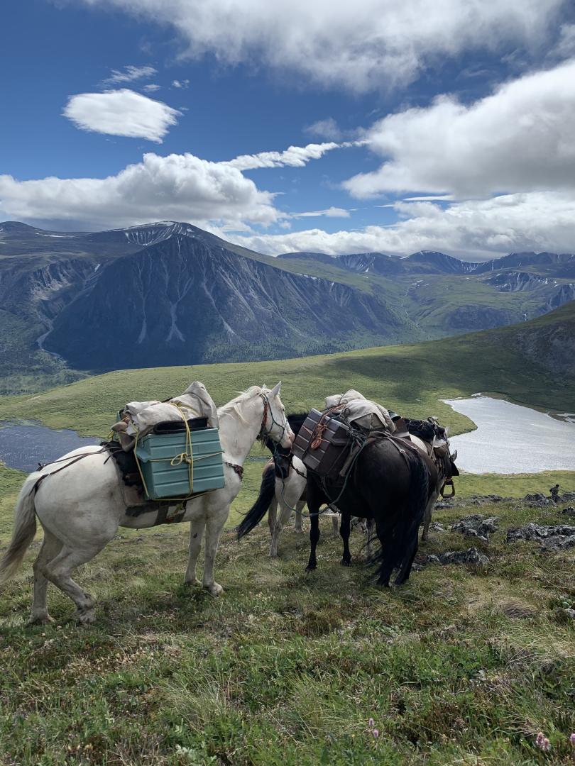 Yukon Horseback Hunt