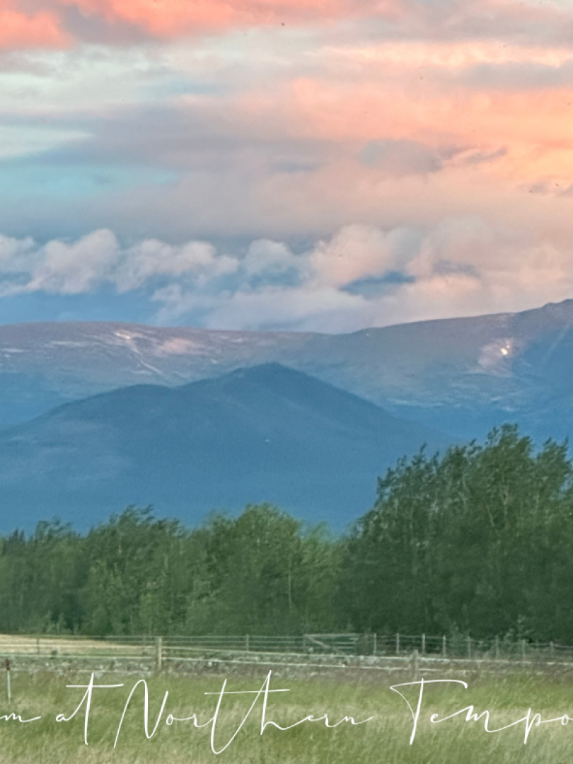 summer mountain view from deck