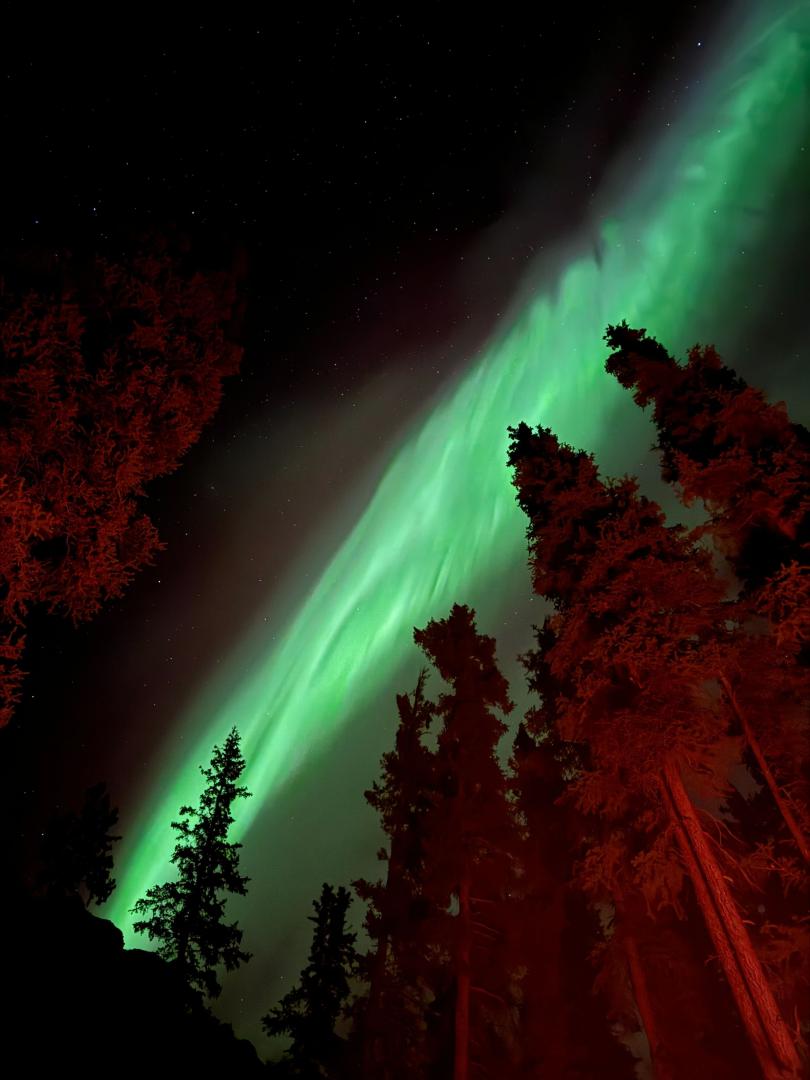 Aurora Borealis in the Yukon