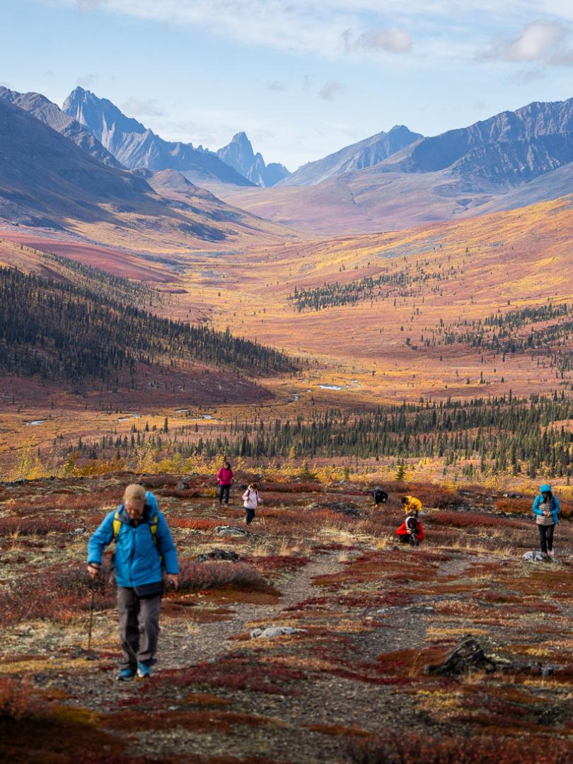 Fall colours in the Tombstones Territorial Park
