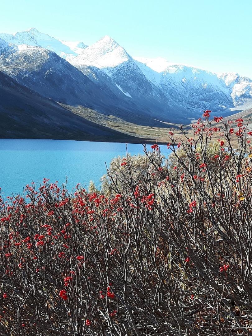 Frazer lake