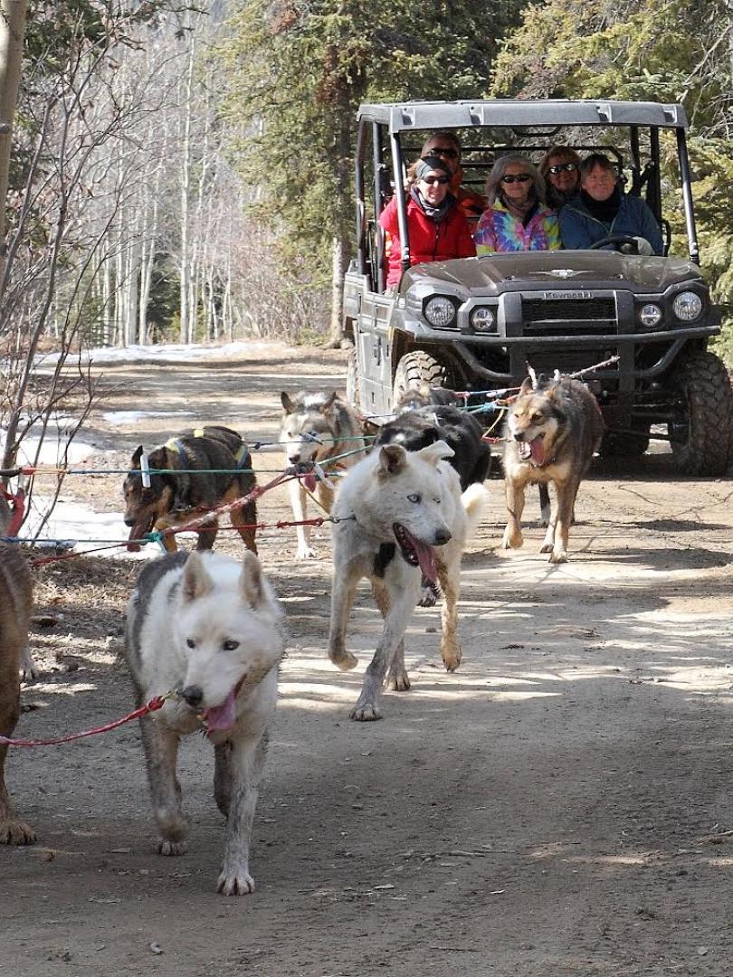 The Husky Rush