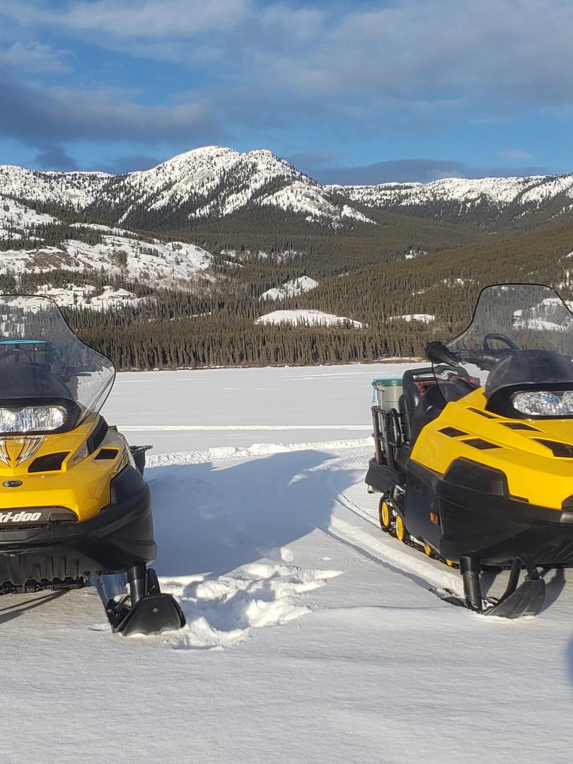 Snowmobile tours