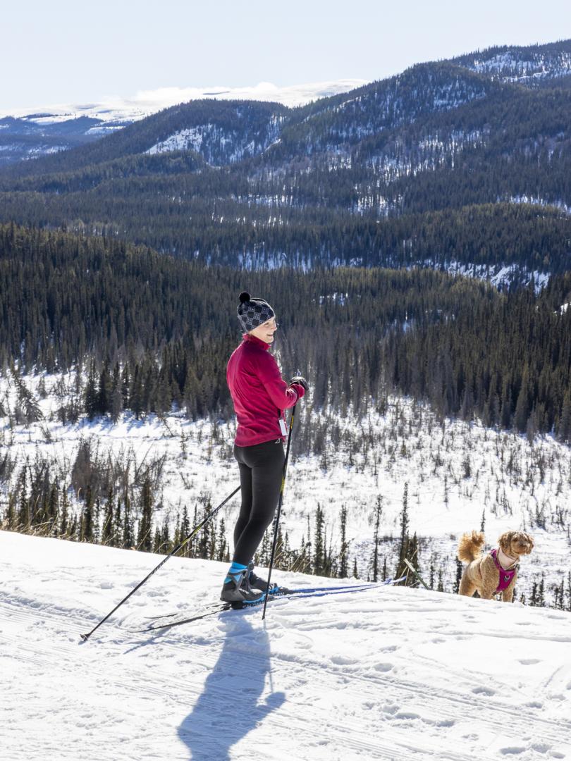 Skier standing still on a groomed trail, overlooking a winter meadow and mountain range.