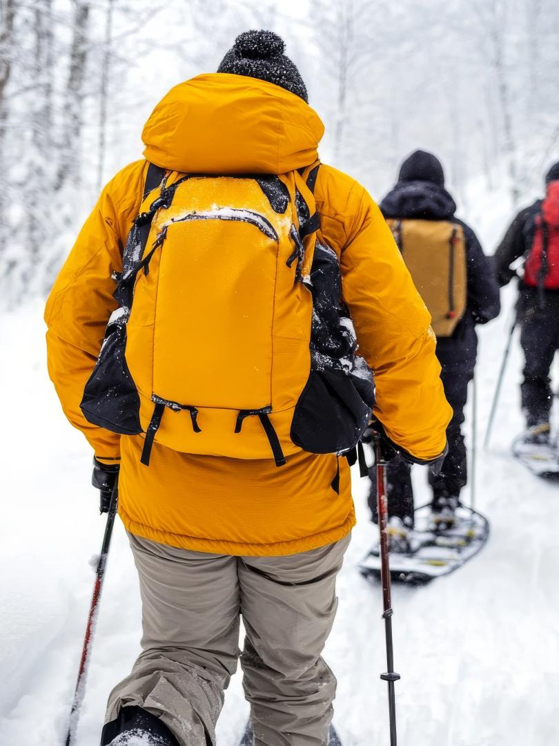 Snowshoeing through a winter landscape