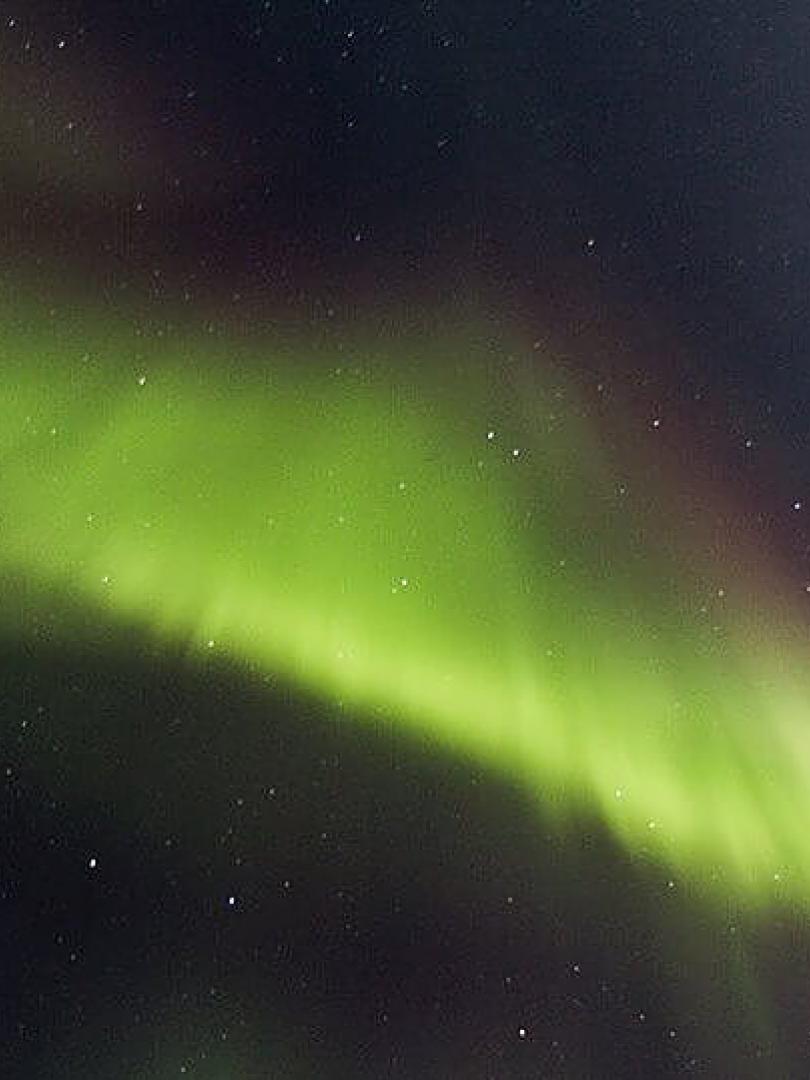 Overnight dog sledding tour