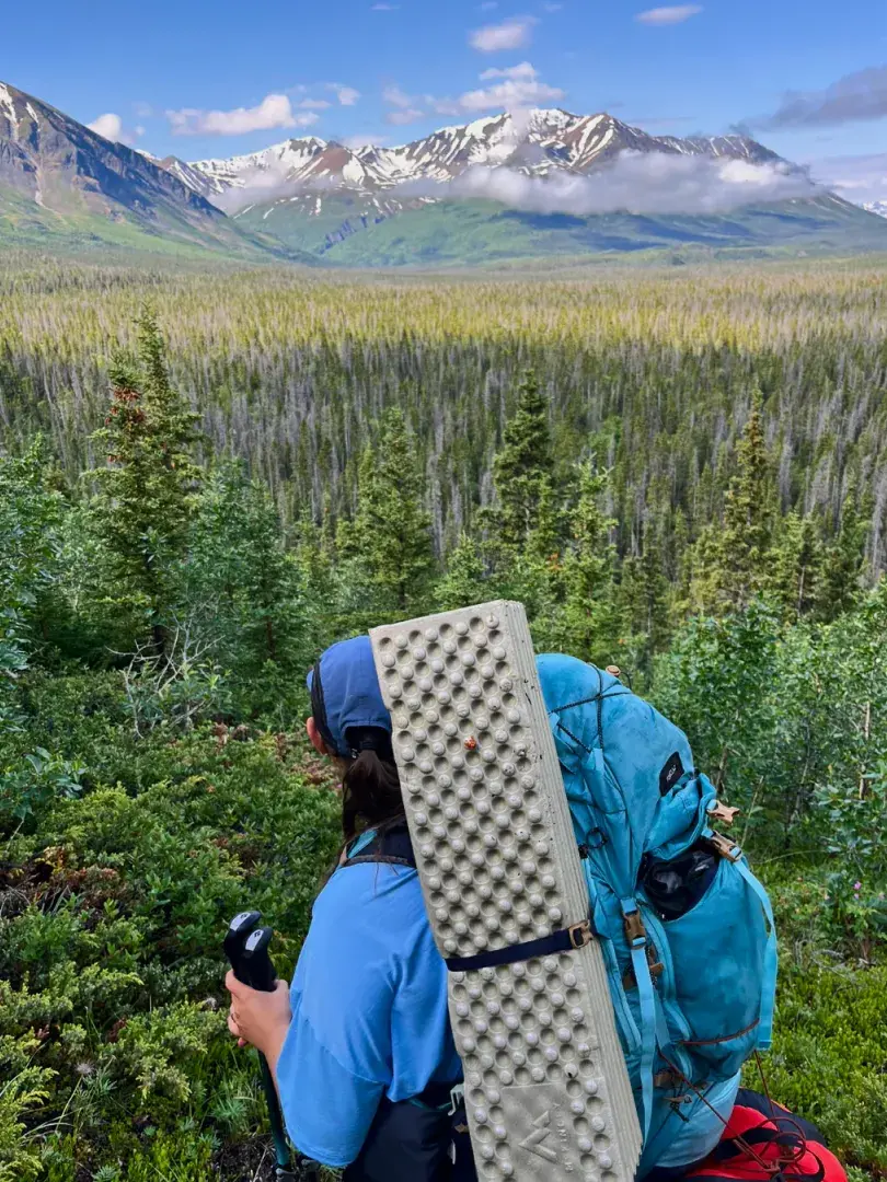 Backpacker on Cottonwood trail looking over valley Kluane National Park