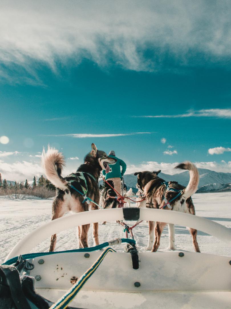 Dog sledding across Fish Lake with Sky High Wilderness Ranch