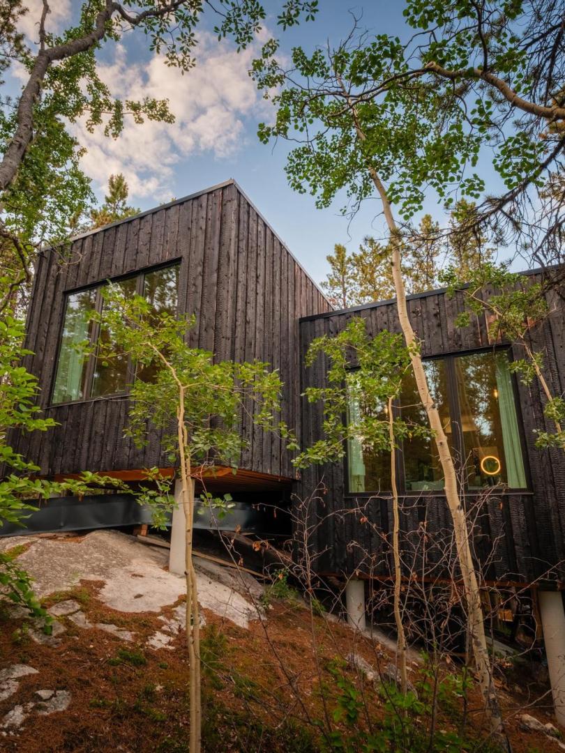 Yukon Black Spruce Landscape Hotel