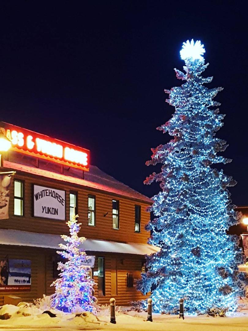 Christmas tree in downtown Whitehorse