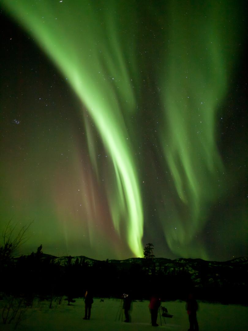 Dancing Winter Aurora