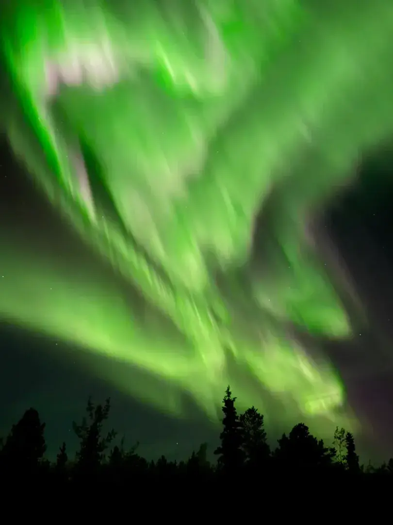 Northern Lights above Whitehorse wilderness