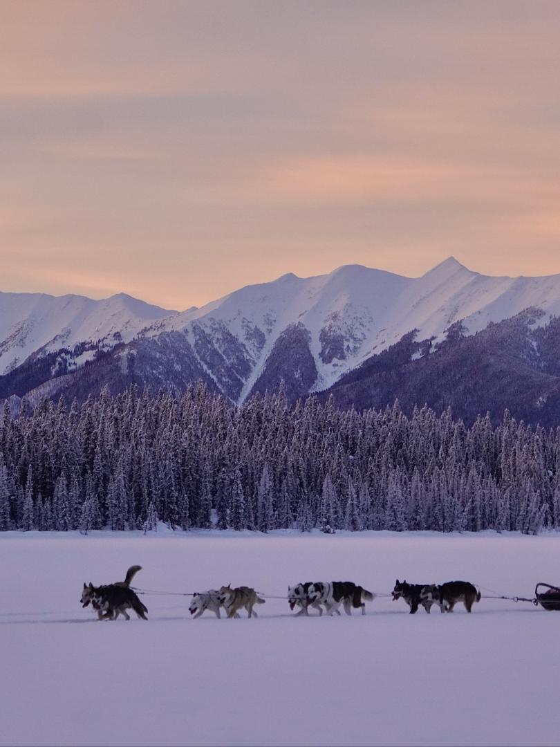 dog sledding on a frozen lake.