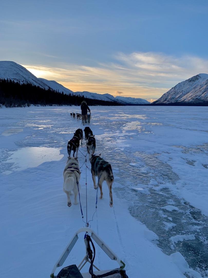 Mushing on frozen lakes 