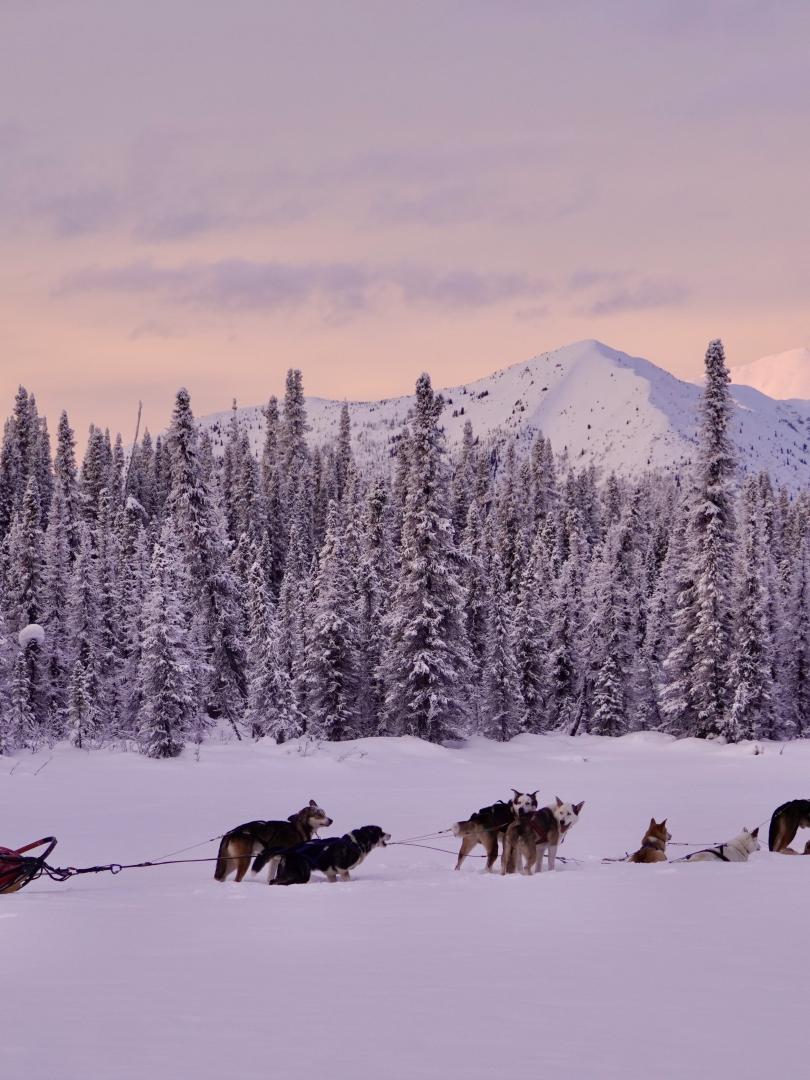 Travelling with your beloved team