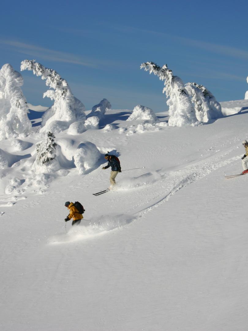 Back country skiers Coast Mountains Canada