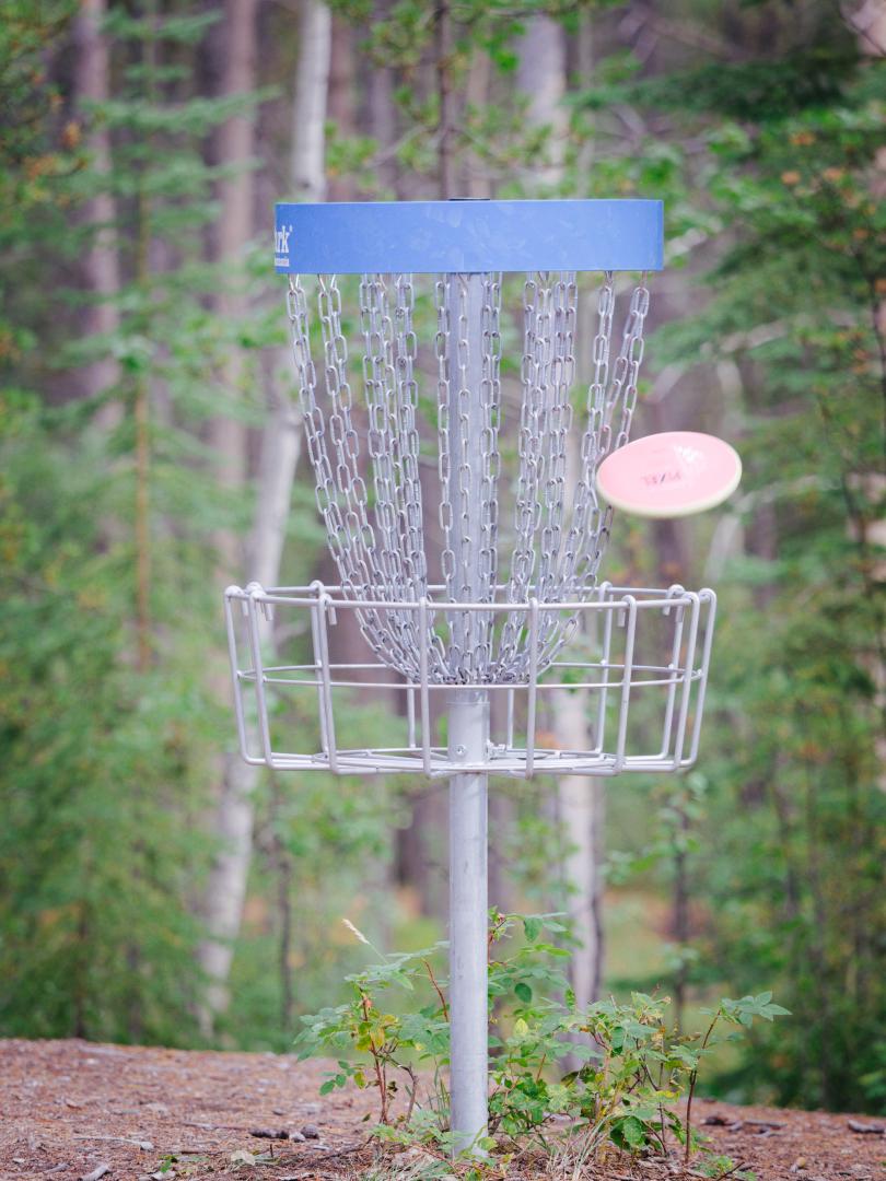 Disc going in the basket