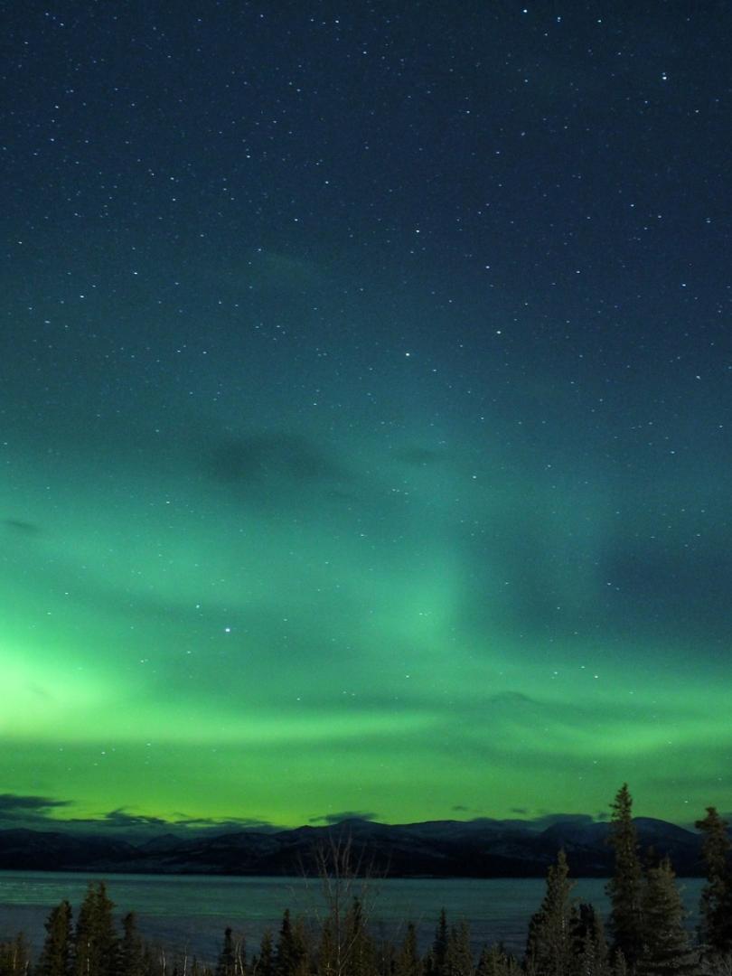Northern Lights Skies in the Yukon 