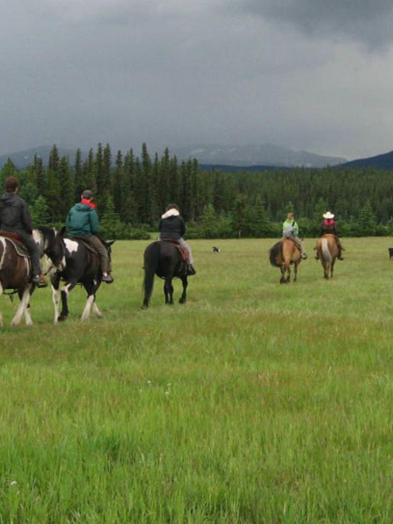 yukon-horsepacking-adventures-mar2014.jpg