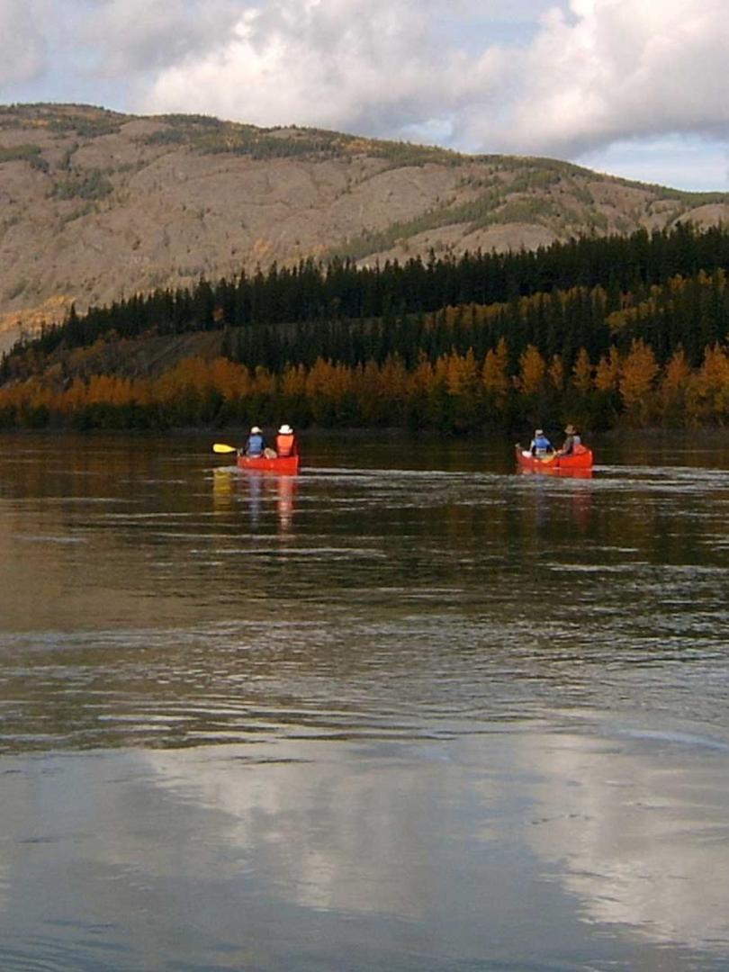 adventure-tours-yukon-wild.jpg