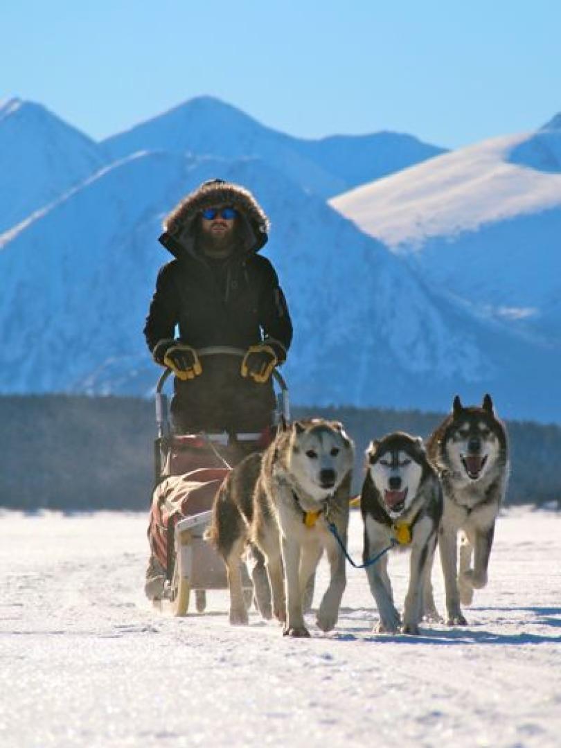 dogsleddingyukon1_000.jpg