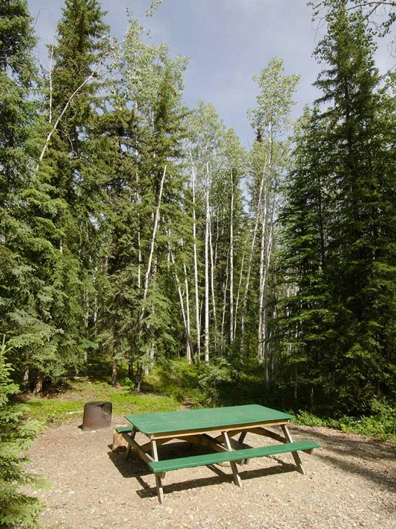 Moose Creek Campground, Travel Yukon - Yukon, Canada