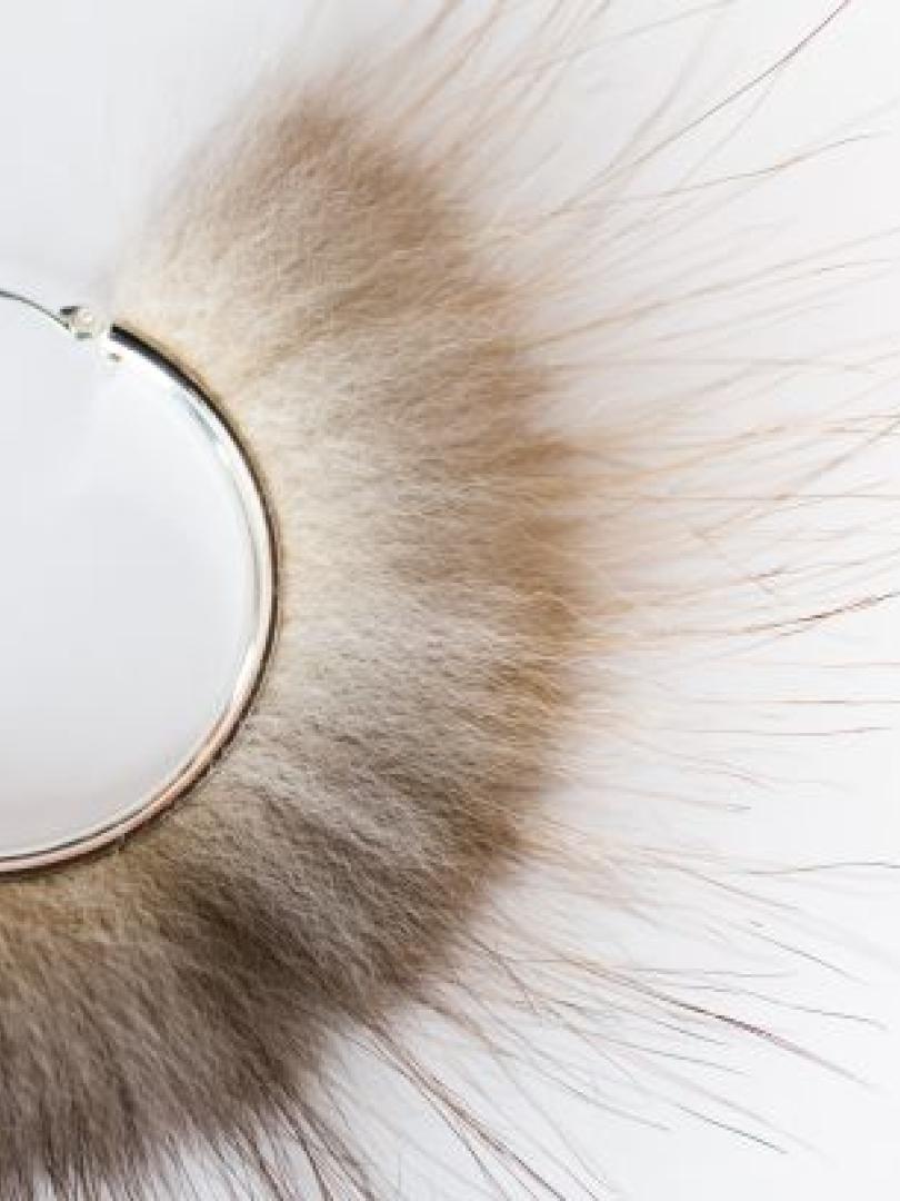 Wild Yukon Fur.jpg