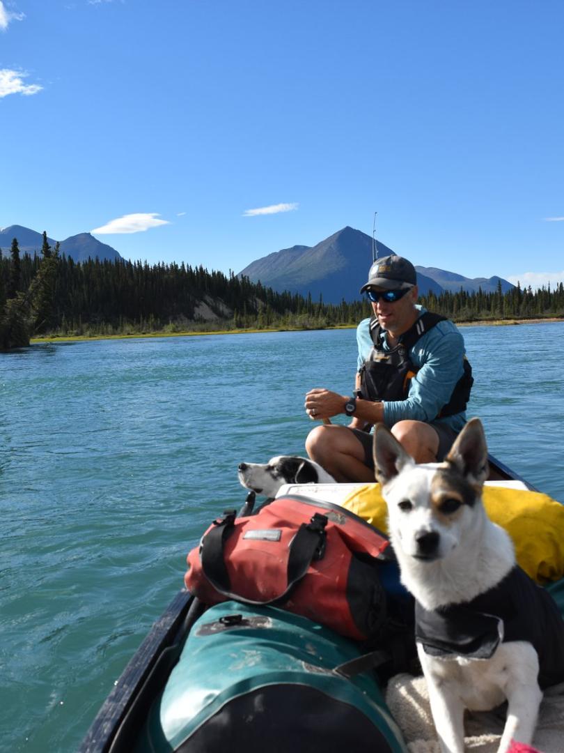 A dog and a paddler on a river