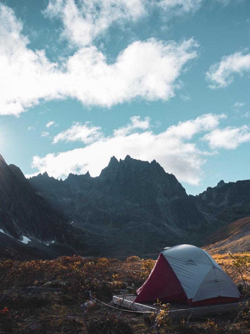 Moose Range in North America: Discover the Majestic Territories