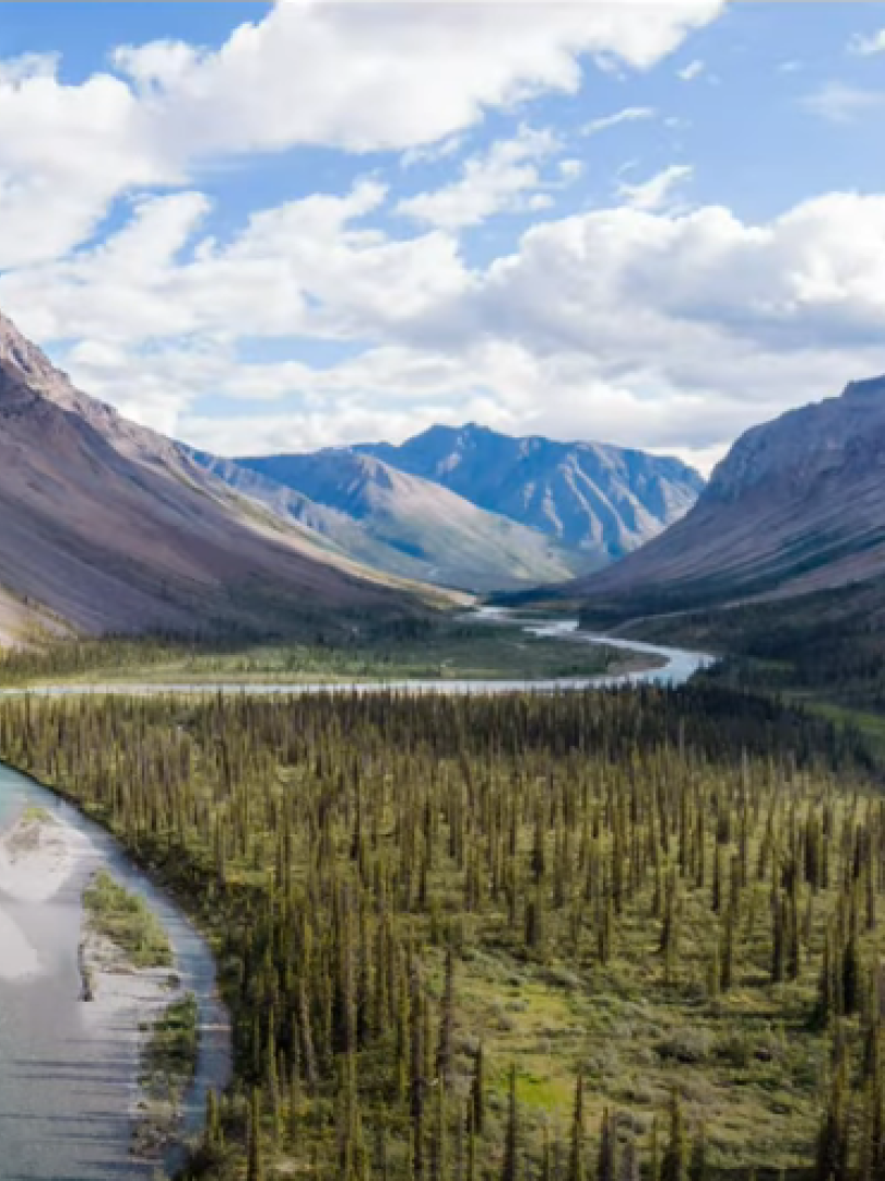 A river snakes through a mountain valley on a summer day, a blue sky is dotted with fluffy white clouds