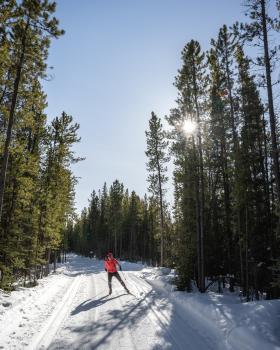 Cross country Skiing in Spring in the Yukon