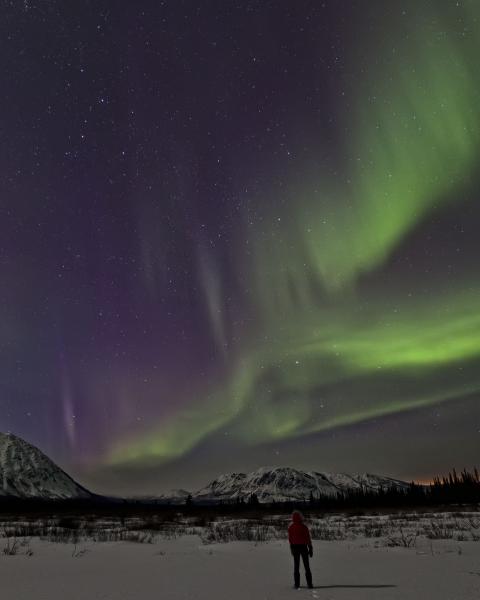 TY Northern Lights Article_Sec2a.jpg