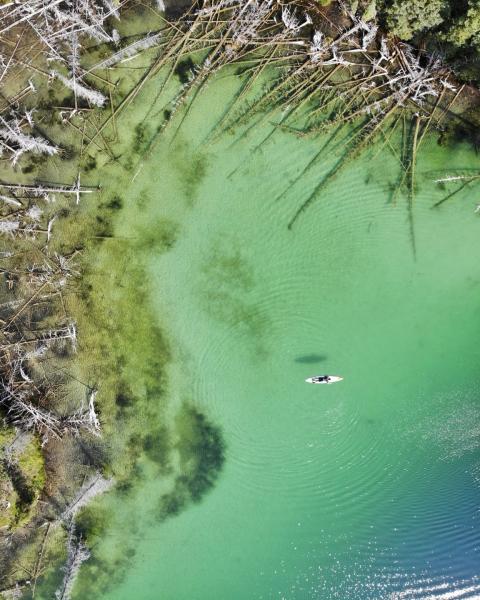 A paddle boarder floats across teal water