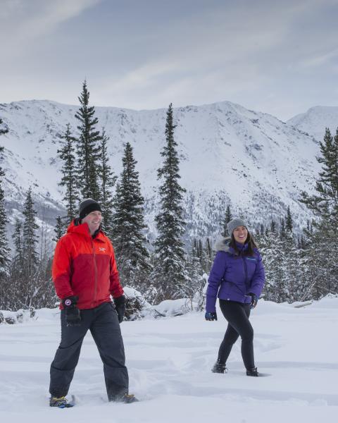 A couple snowshoes with a mountain in the background