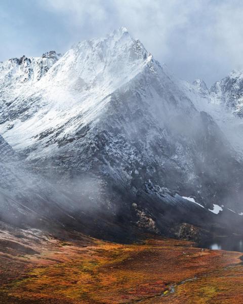 A snow covered mountain stands tall over autumn brush