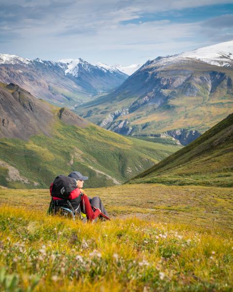 A hiker takes in the view of Kluane National Park